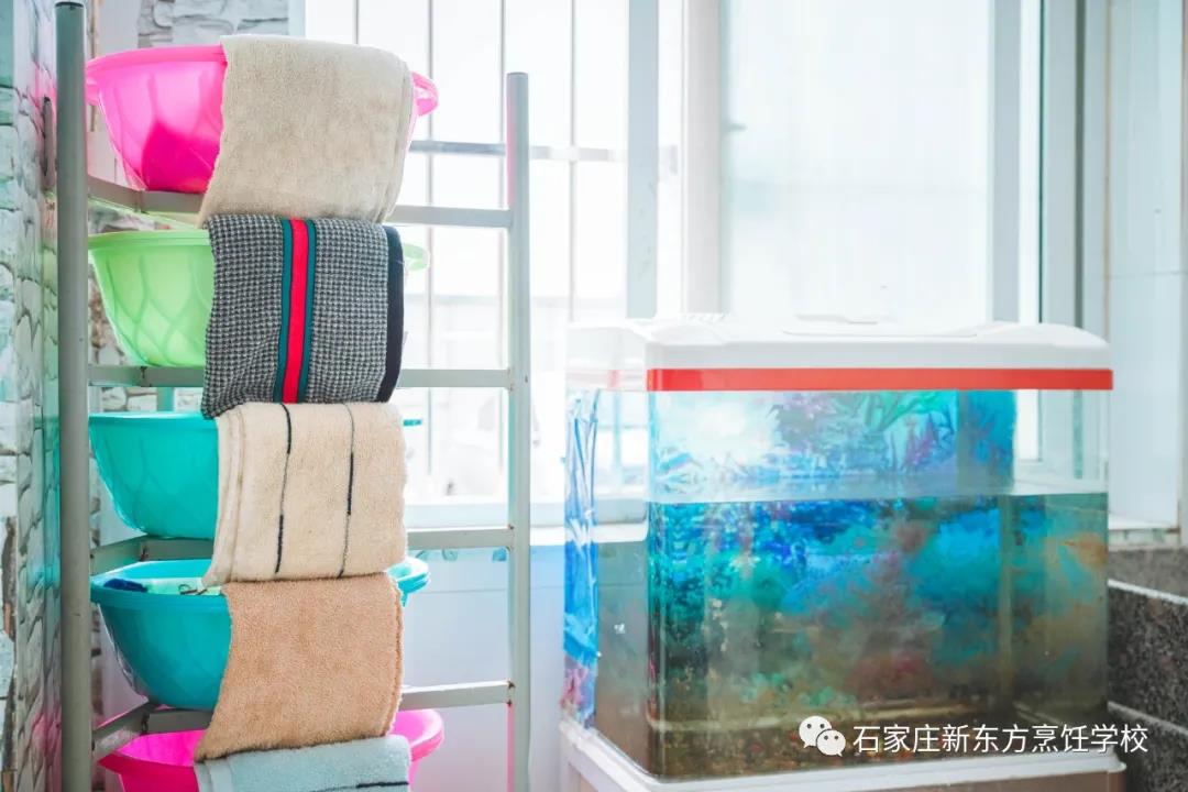 一見(jiàn)傾心丨get宿舍相處之道，幸福值拉滿~