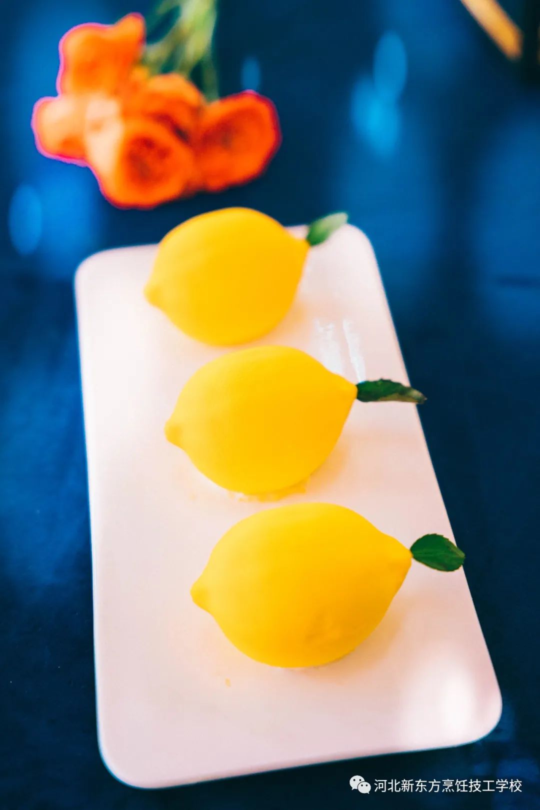 7bbb456f01c2d29cb2a6651e39035a24.jpg 7bbb456f01c2d29cb2a6651e39035a24.jpg