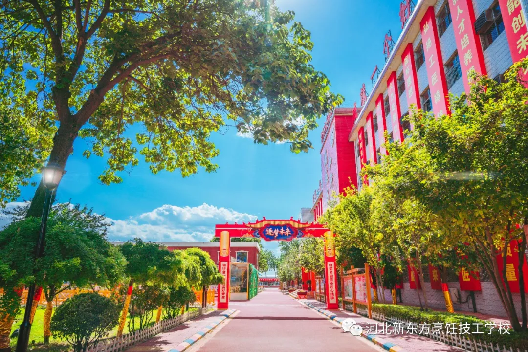 1719709388791.jpg 1719709388791.jpg