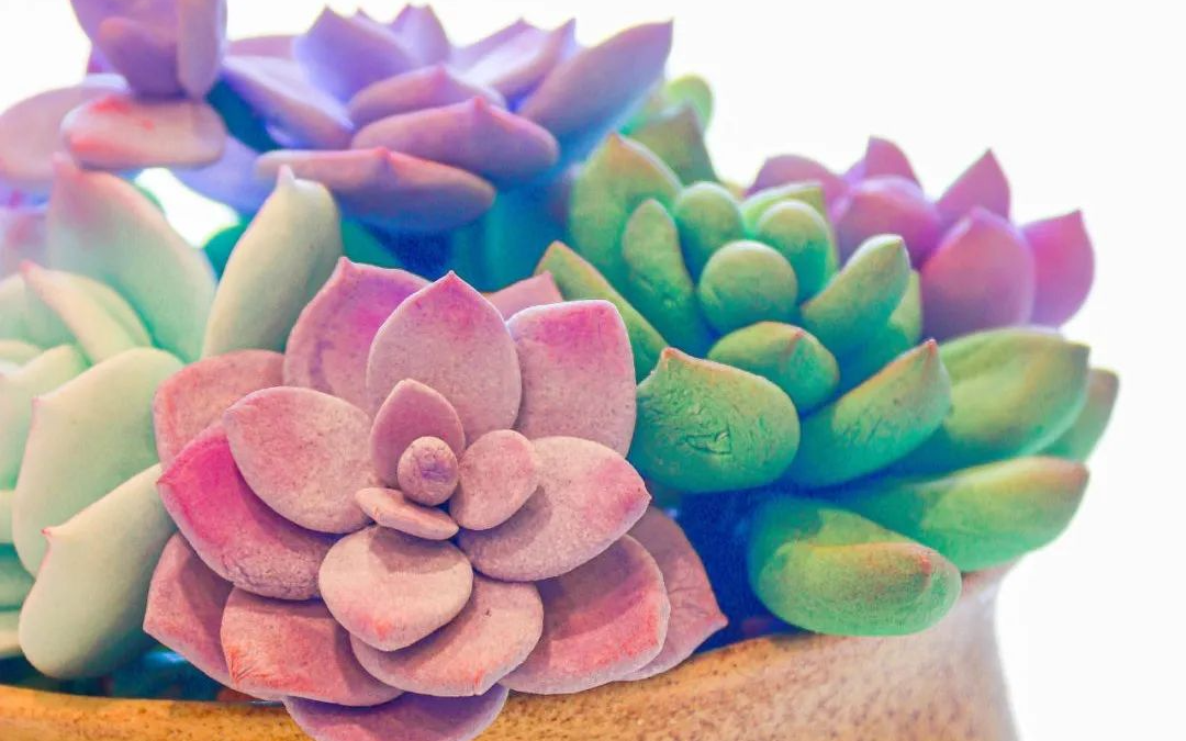 9e02bd2493f14ddf530ea5fb1d569e2d.png 9e02bd2493f14ddf530ea5fb1d569e2d.png